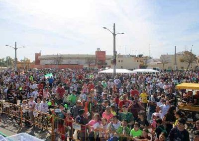Organización de eventos relacionados con el Día de Andalucía