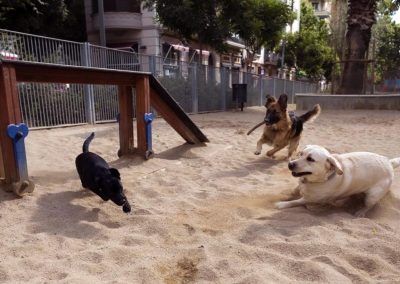 Equipamiento urbano: parques caninos